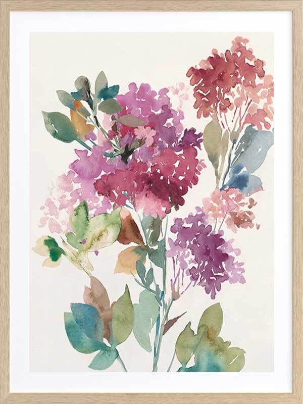 Sweet Hydrangea - Framed Print