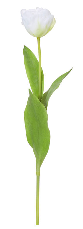 Peony Tulip Stem