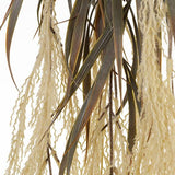 Plume Grass Hanging Bush