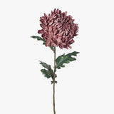 Dusty Mauve Chrysanthemum Stem