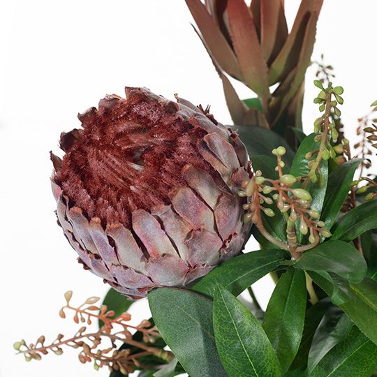 Mauve Protea Magnifica Mix in Vase