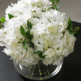 White Hydrangea Mix in Vase